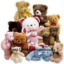 12 Different Teddy Bears Including One 3 Feet Tall Teddy Bear, Four 1.5 Feet Teddy Bears, Four Medium Size Teddy Bear And Three Small Teddy Bears ( Please Note That We Reserve The Right To Substitute Any Product With A Suitable Product Of Equal Value In Case Of Non Availability Of A Certain Product )
