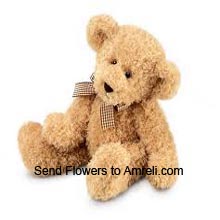 A Small Size Cute Teddy Bear (  Please Note That We Reserve The Right To Substitute Any Product With A Suitable Product Of Equal Value In Case Of Non Availability Of A Certain Product)