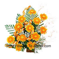 Basket Of 12 Yellow Colored Gerberas With Fillers