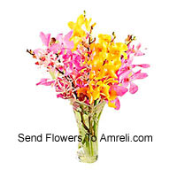 Mixed Colored Orchids In A Vase