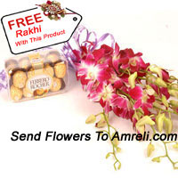 Bunch Of Orchids With 16 Pcs Ferrero Rocher And A Free Rakhi