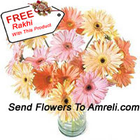 24 Mixed Colored Gerberas In A Vase With A Free Rakhi