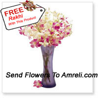Orchids In A Vase With A Free Rakhi